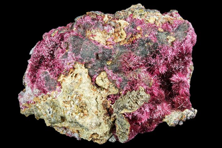 Fibrous, Magenta Erythrite Crystals - Morocco #104053